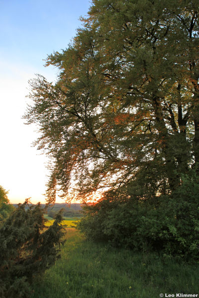 7.12 Fruehjahr IMG_0961.jpg